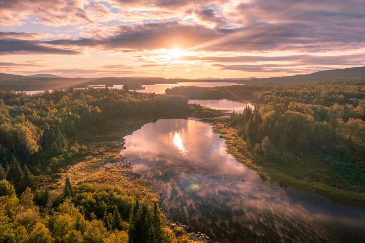 A forested landscape in the North Woods region of Minnesota with visible lakes at sunset.